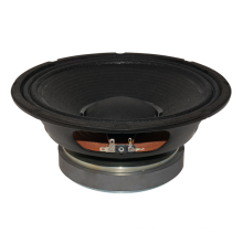 wholesale hot woofer 10 inch karaoke speaker WL10175 hot sale